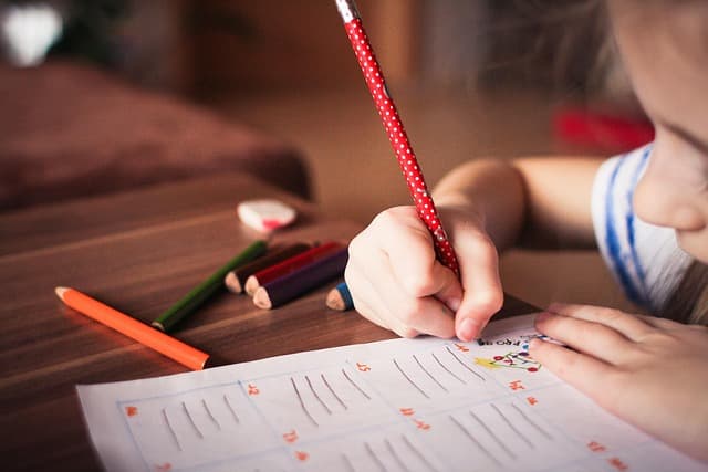 Les Meilleurs Cours Amusants pour Stimuler votre Imagination